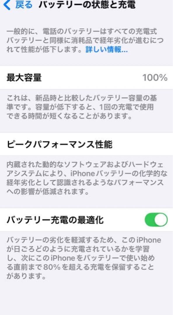 iPhone 13 ブルー 純正バッテリー 100% 256GB