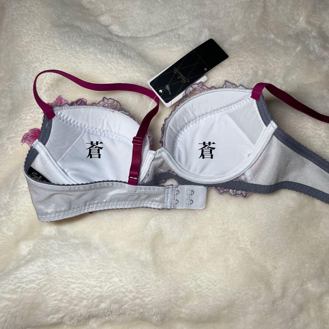 サルート21グループワークアップブラD70ブラ単品