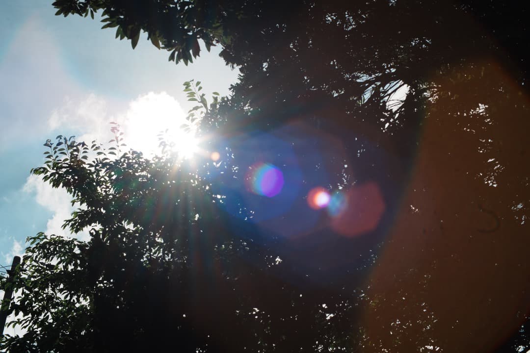 【美品】動作◎ オリンパス G.Zuiko auto 50mm F1.4 950