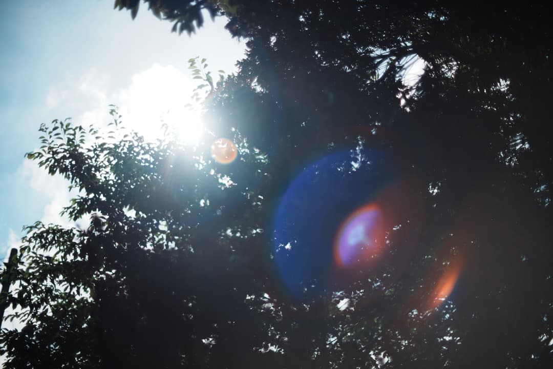 【美品】動作◎ オリンパス G.Zuiko auto 50mm F1.4 950