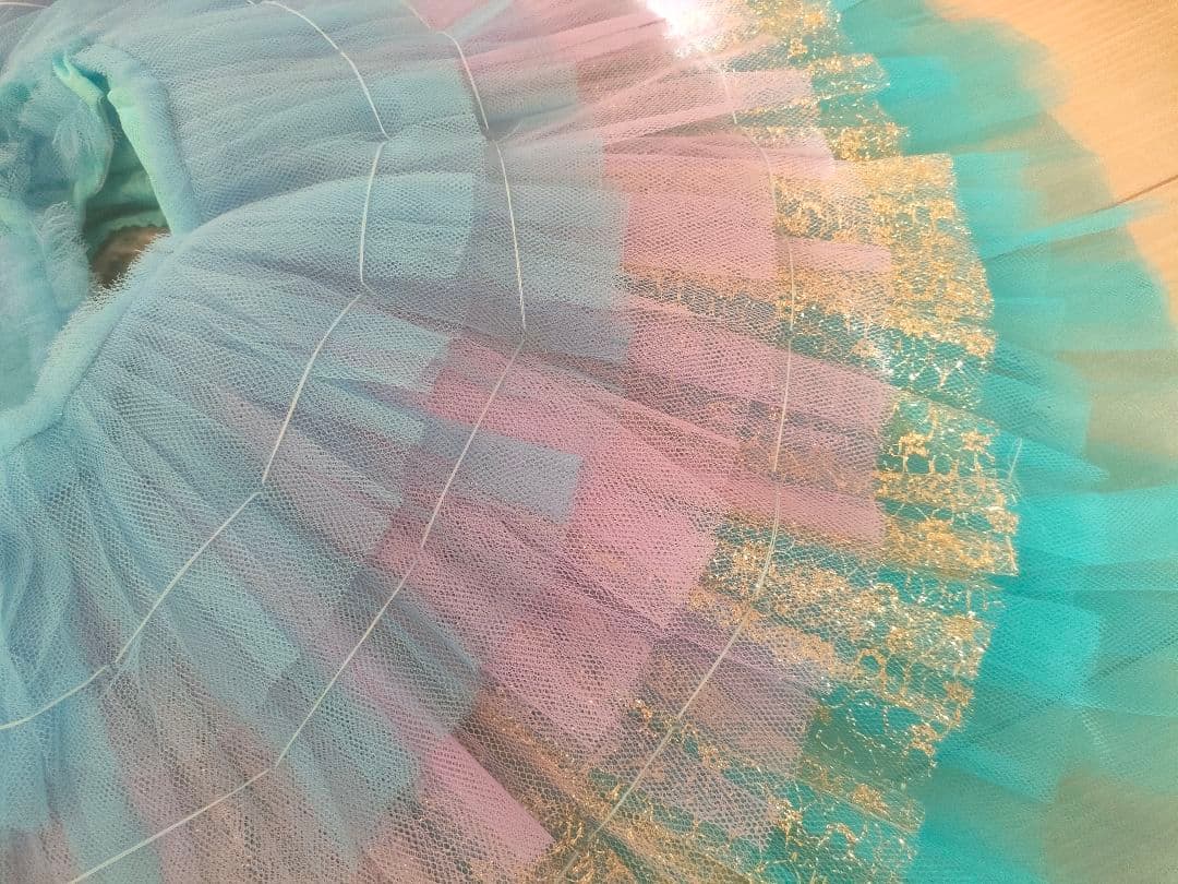 フロリナ、海賊　豪華　バレエ衣装　チュチュ130 スワロフスキー