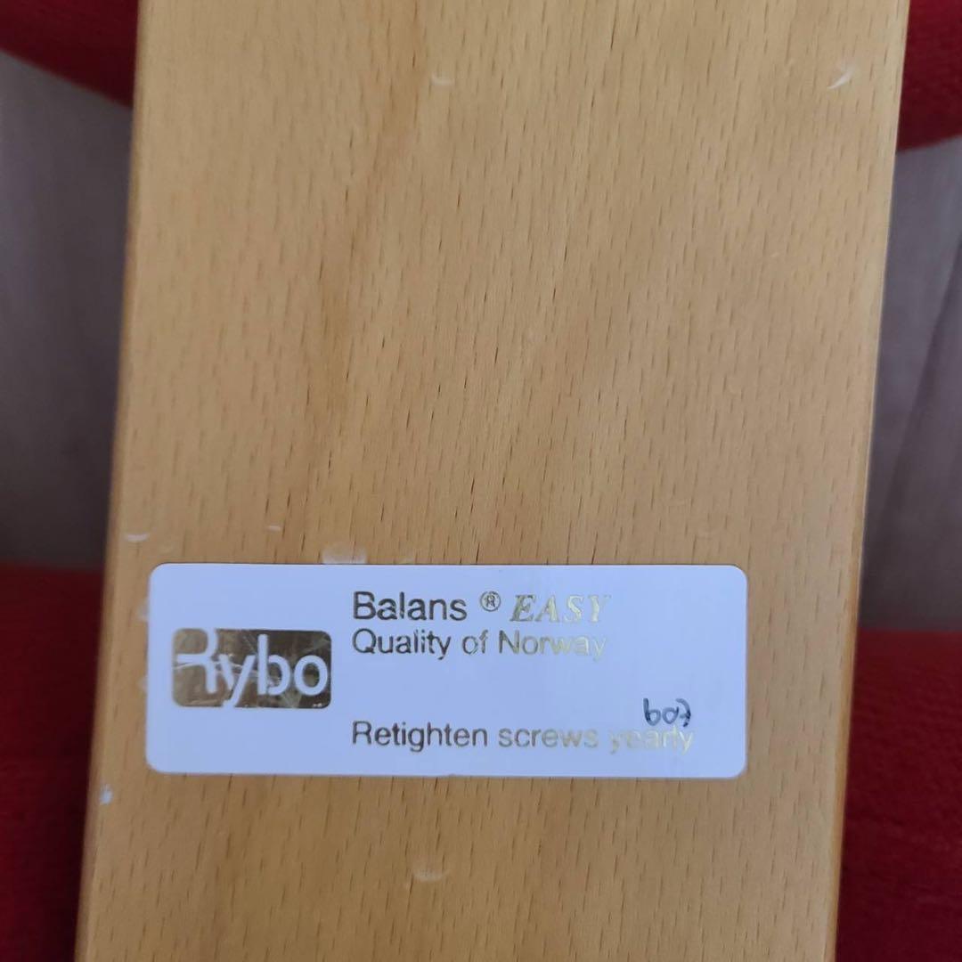 【Rybo】イージーバランス 姿勢矯正 レッド 通常フレーム