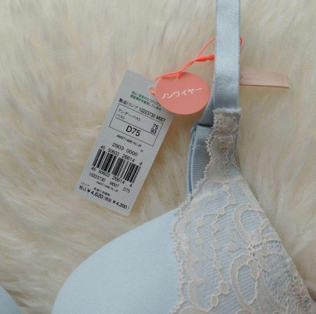 トリンプ アモスタイル 1498　003　D75 Lセット　定価7480円