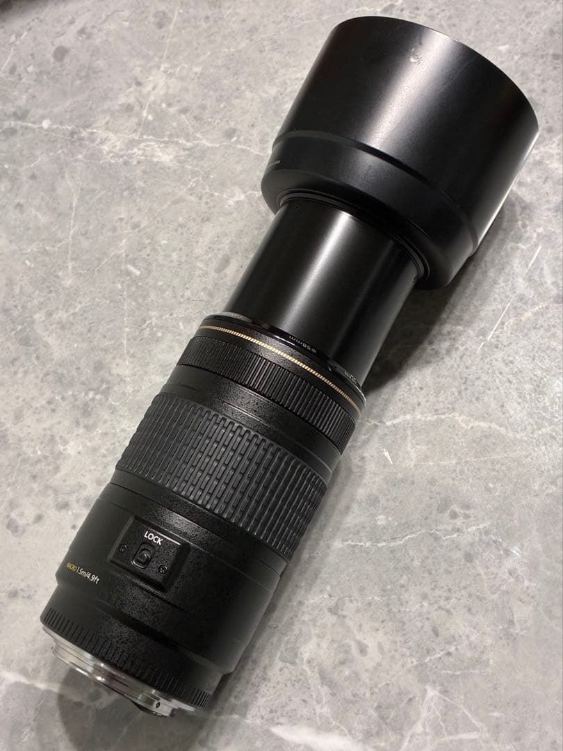 ⭐️極美品⭐️Canon EF70-300mm 4-5.6 IS USM 望遠レンズ