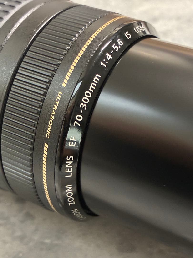 ⭐️極美品⭐️Canon EF70-300mm 4-5.6 IS USM 望遠レンズ