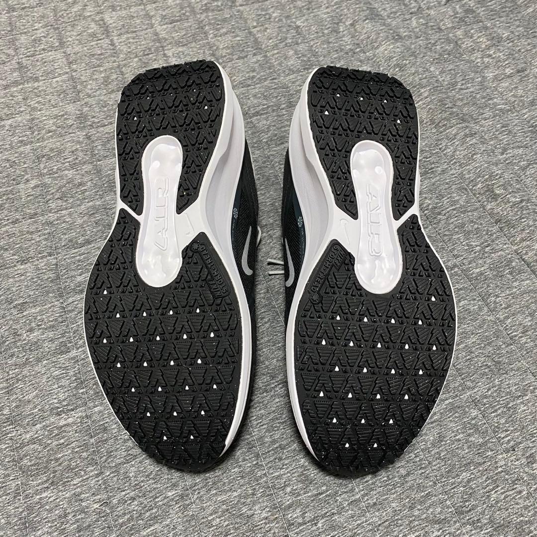 ナイキ ウィンフロー 11 ゴアテックス