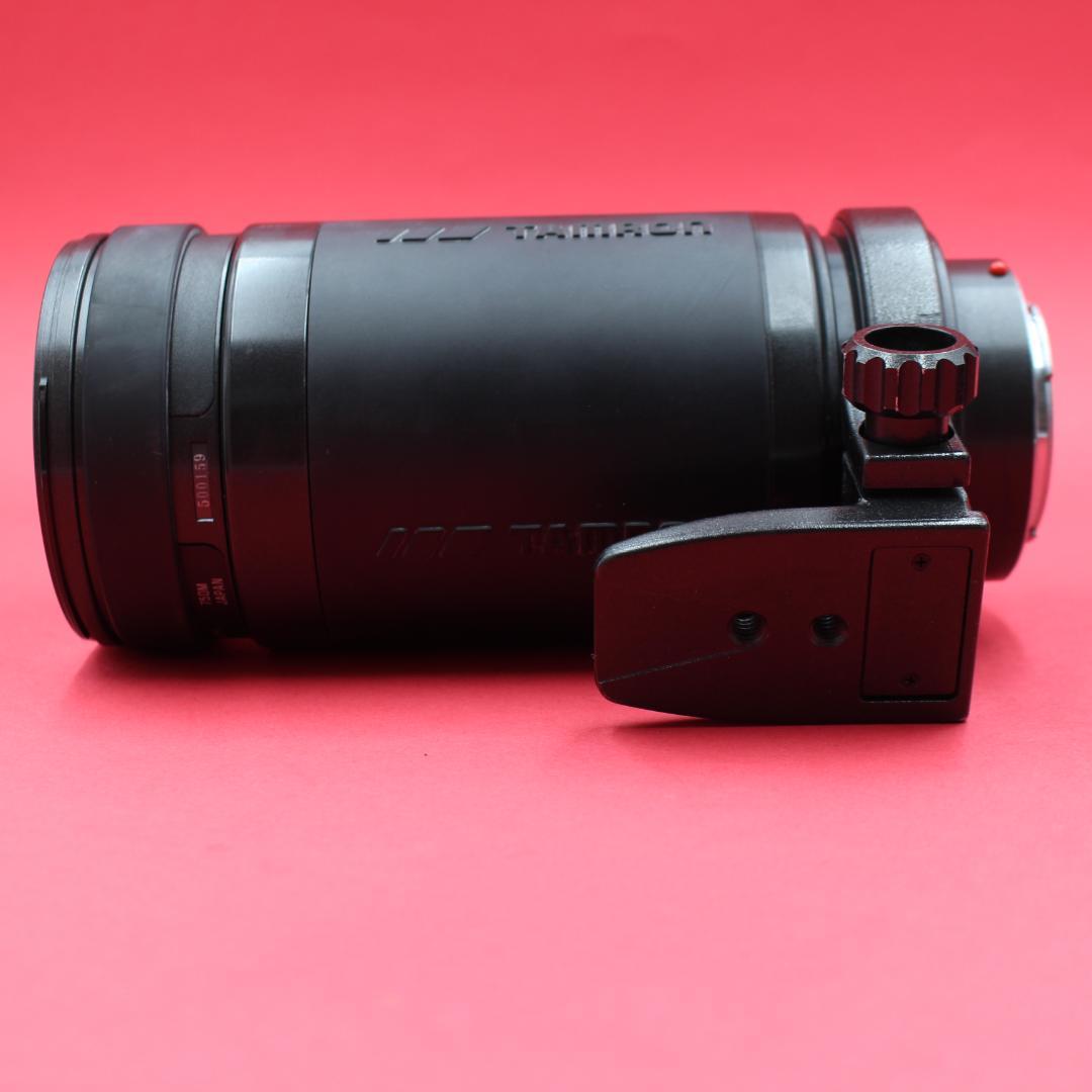 ❤️超望遠❤️TAMRON 200-400mm❤️野鳥・スポーツ撮影❤️