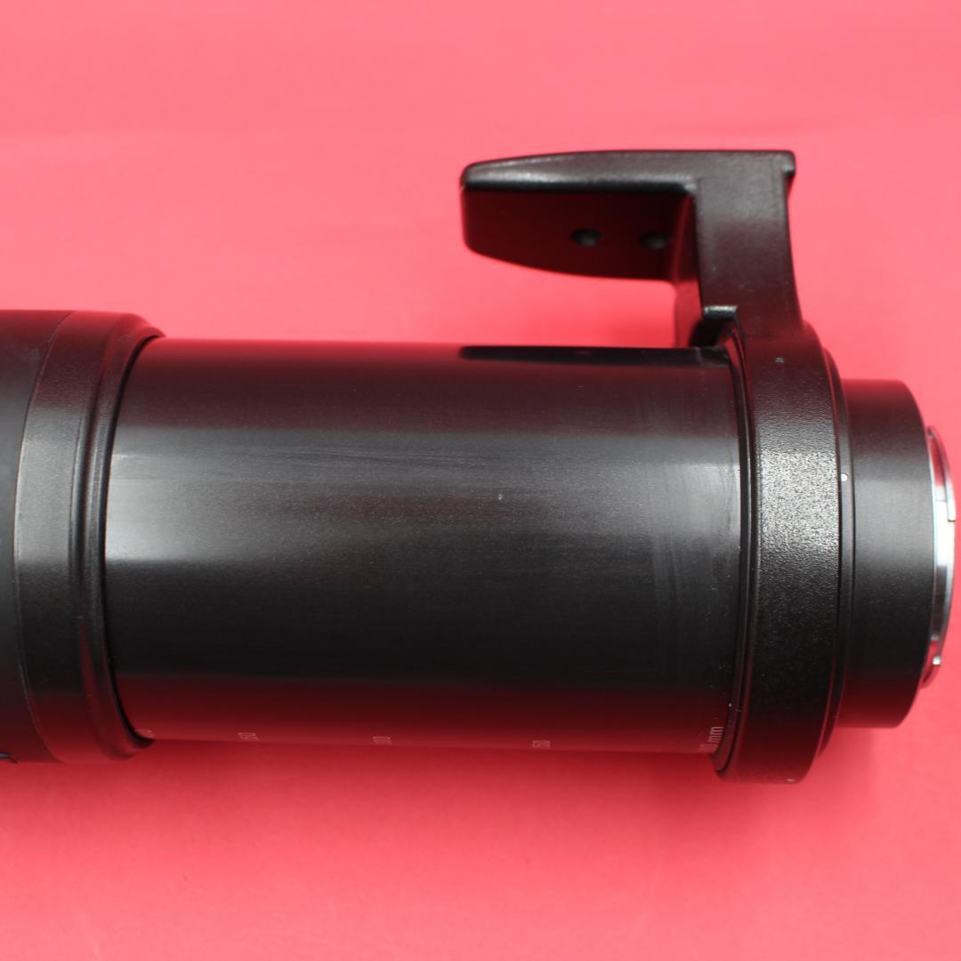 ❤️超望遠❤️TAMRON 200-400mm❤️野鳥・スポーツ撮影❤️