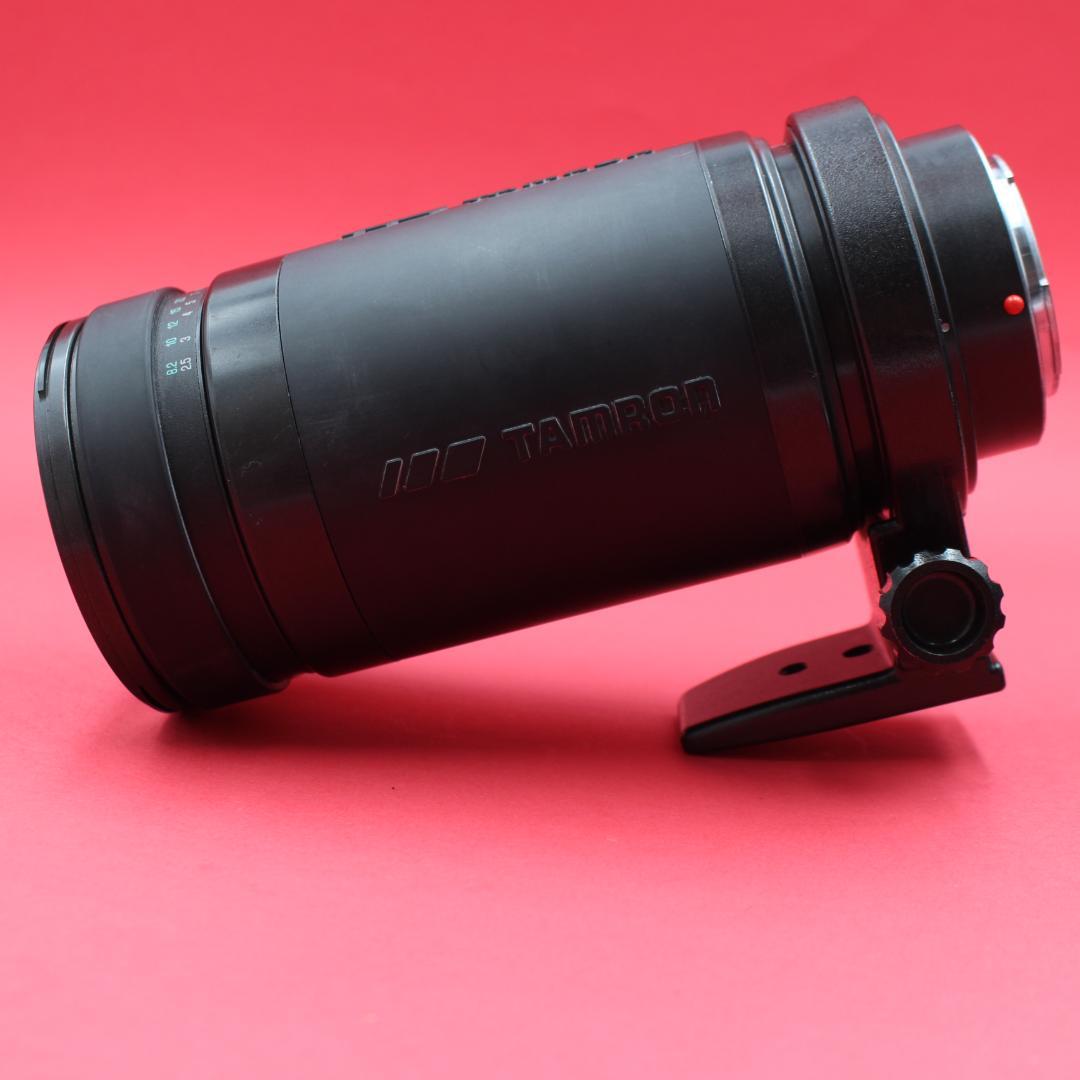 ❤️超望遠❤️TAMRON 200-400mm❤️野鳥・スポーツ撮影❤️