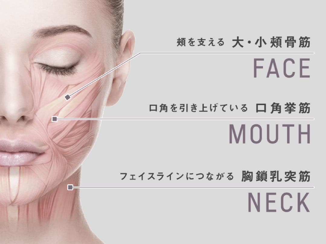 Panasonic パナソニック　バイタリフト かっさ　美顔器　EH-SP86