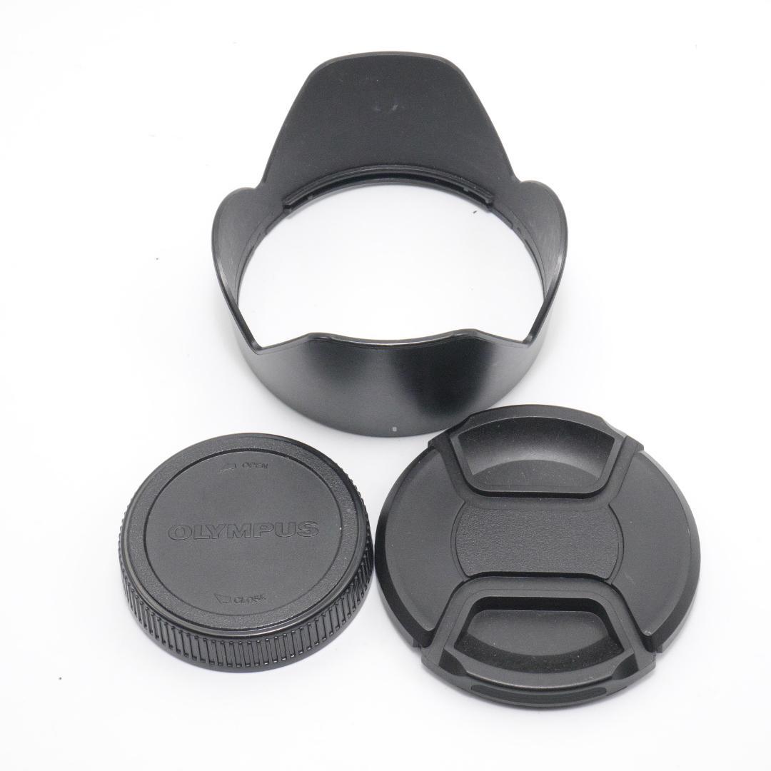 パナソニック D VARIO-ELMAR 14-150mm F3.5-5.6