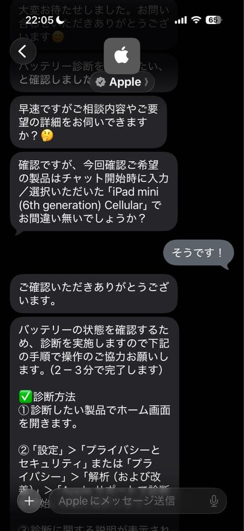 【美品】iPad mini 6 256Gセルラー+アップルペンシル2【即日発送】