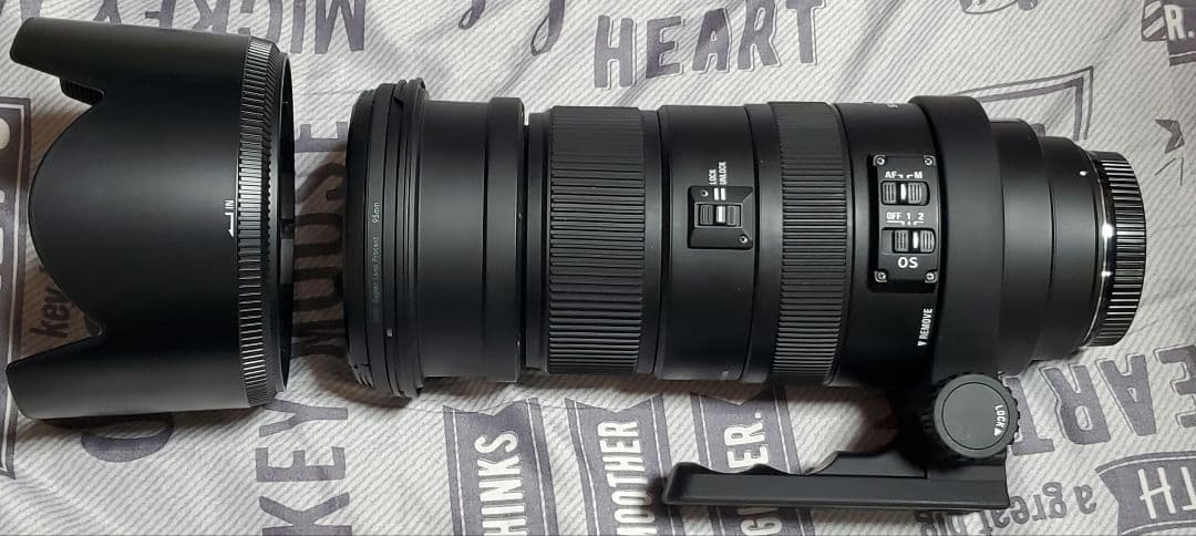 美品 SIGMA DG 50-500mm F4.5-6.3 Canon用