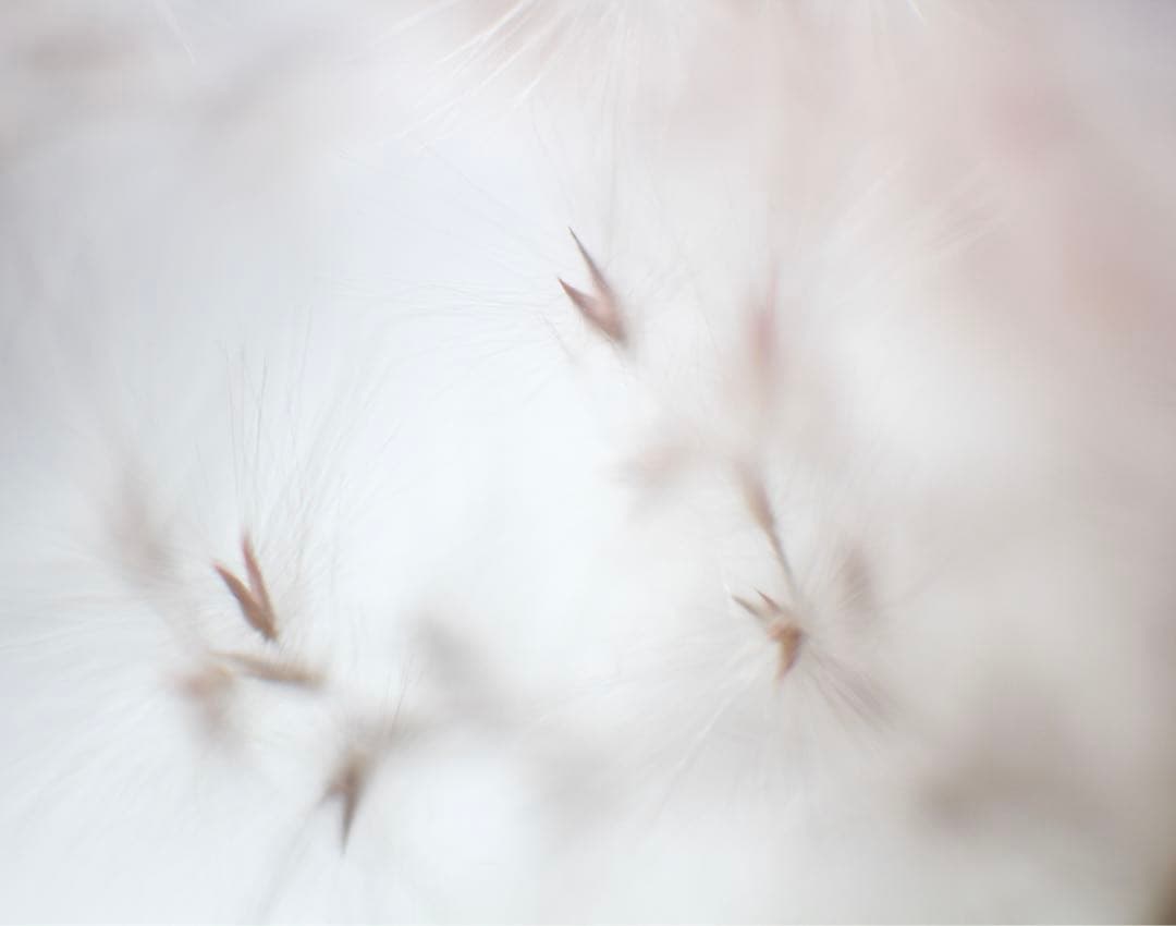 希少　NIKON ultra micro nikkor 50mm f1.8 e