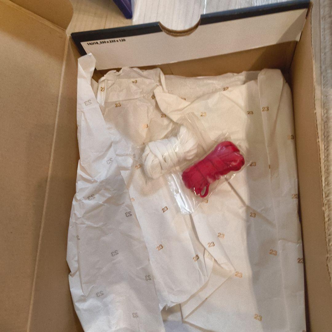 AIR JORDAN1 Chicago　2015 エアジョーダン1　シカゴ