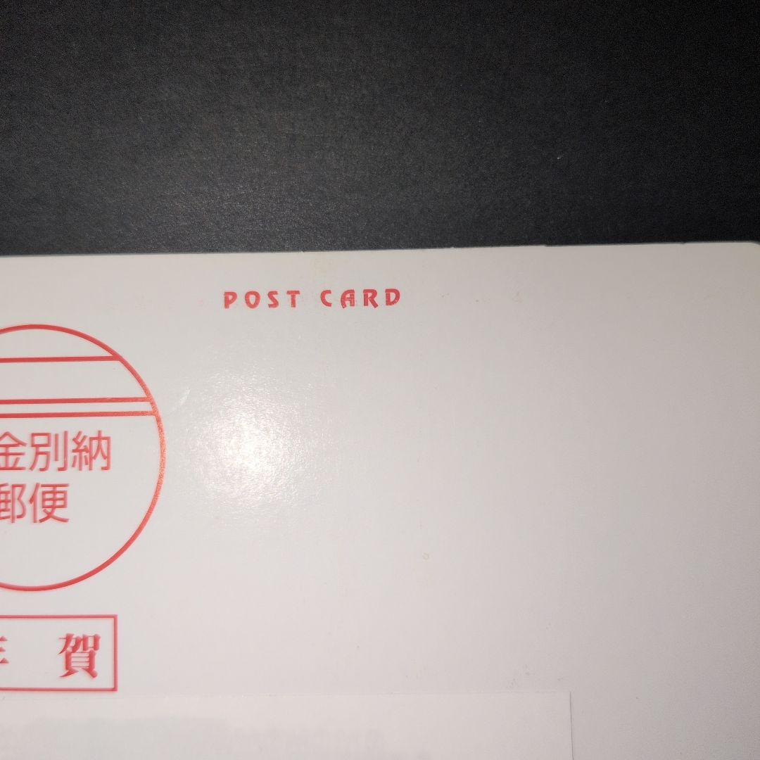 希少品【ポケモンカードファンクラブ限定】ニューセンチュリープレゼント