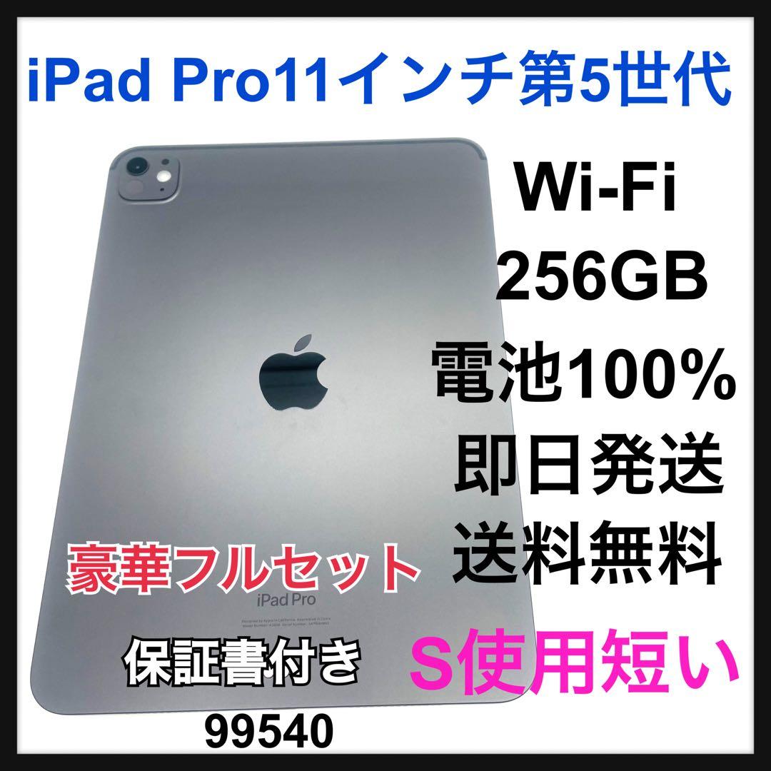 電池100% iPad Pro 第5世代 11インチ　256 GB Wi-Fi