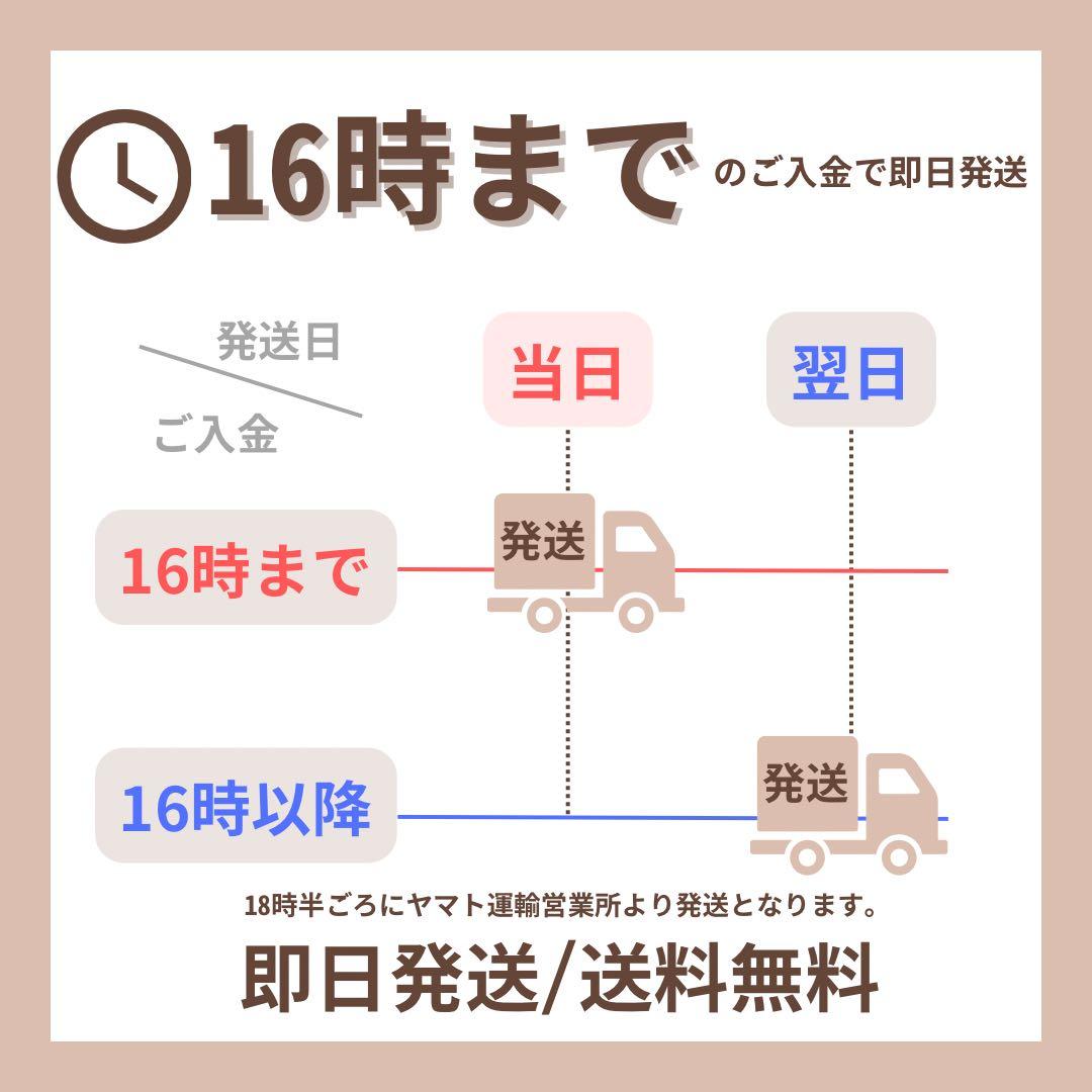 電池100% iPad Pro 第5世代 11インチ　256 GB Wi-Fi