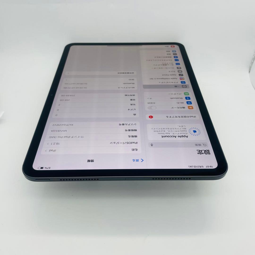 電池100% iPad Pro 第5世代 11インチ　256 GB Wi-Fi