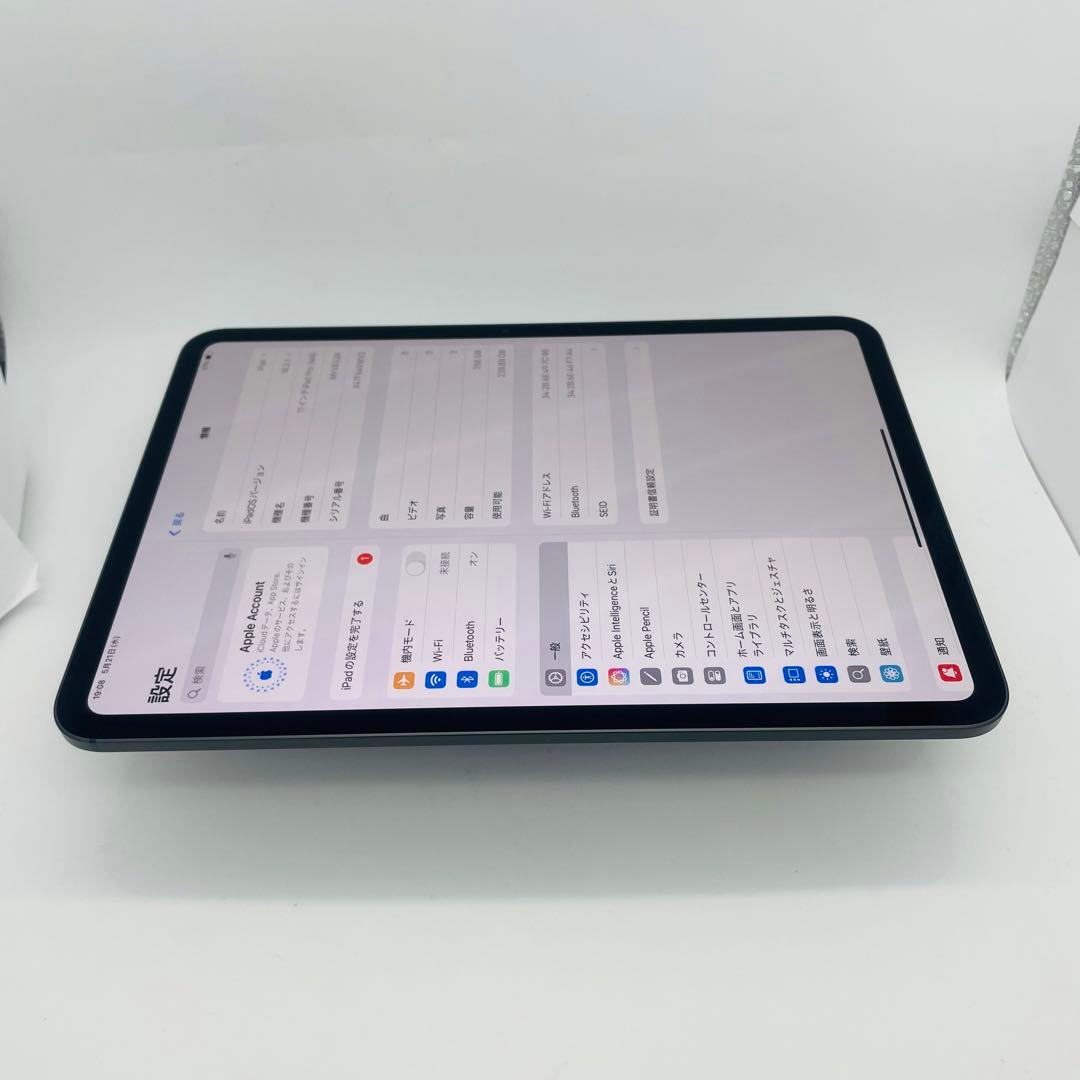 電池100% iPad Pro 第5世代 11インチ　256 GB Wi-Fi