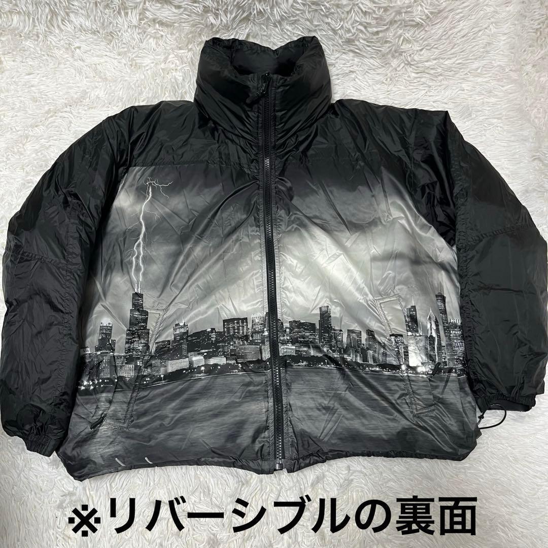 美品！Schott　リバーシブル　自由の女神　XL相当　フード　ジャケット