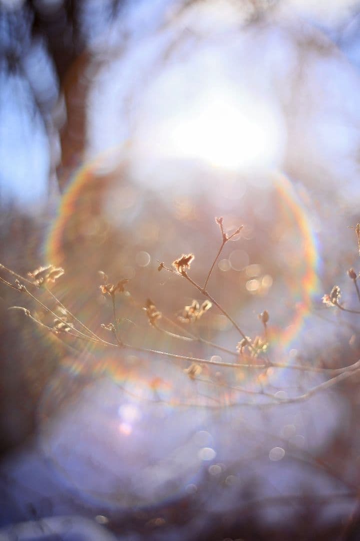 Super-Takumar 55mm F1.8 初期型 S/N：694057