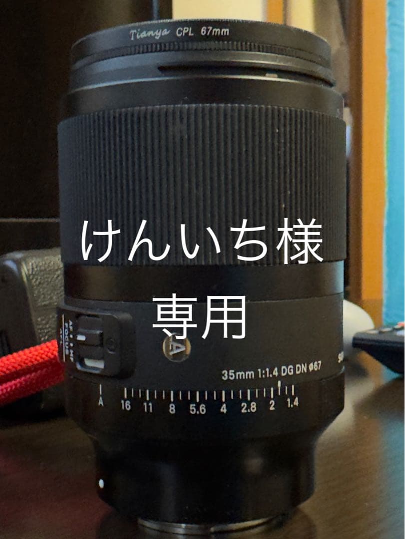 sigma35mmArt Eマウントレンズセット