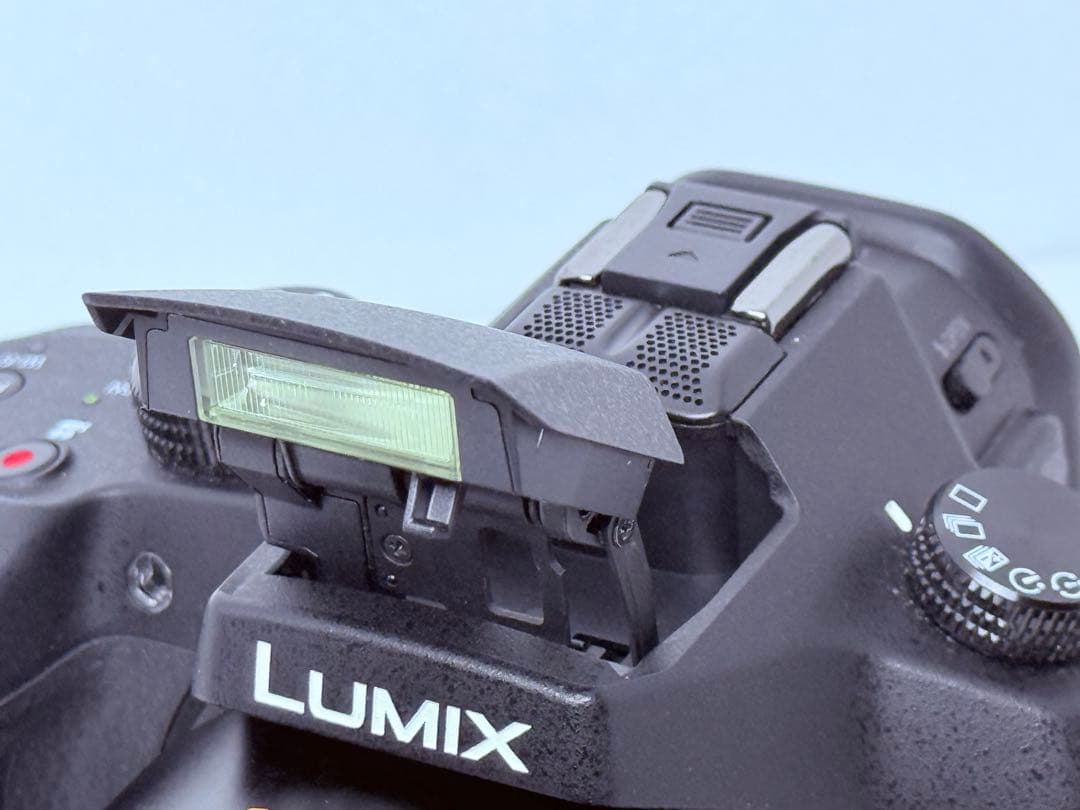 Panasonic DMC-FZ1000 4Kデジカメ 付属品充実