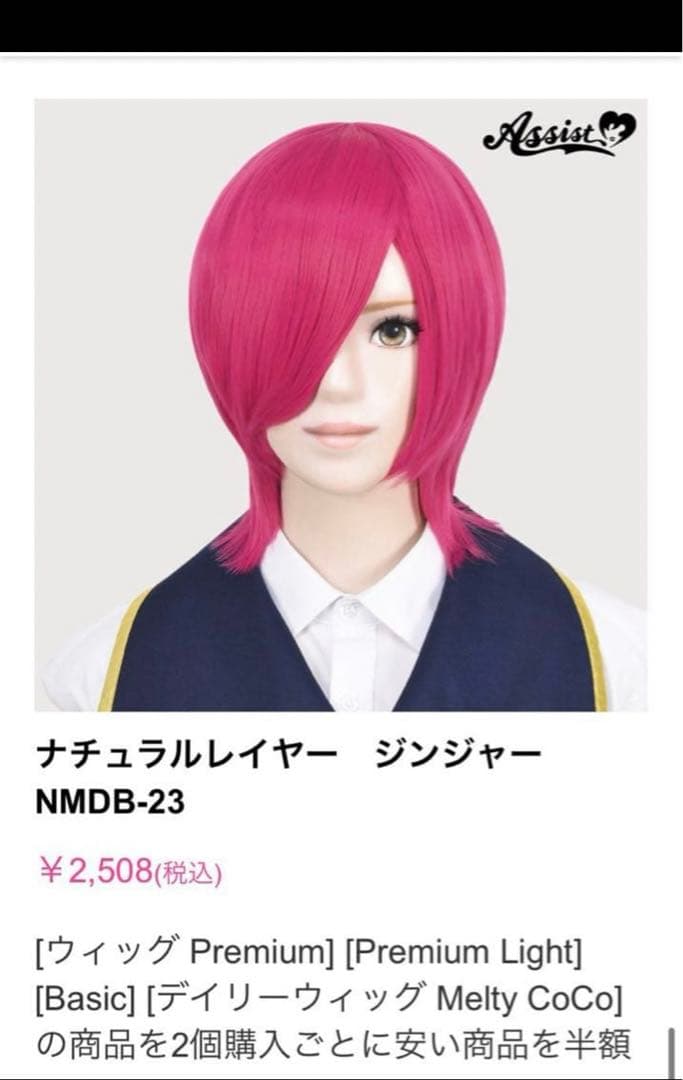 21ページ②