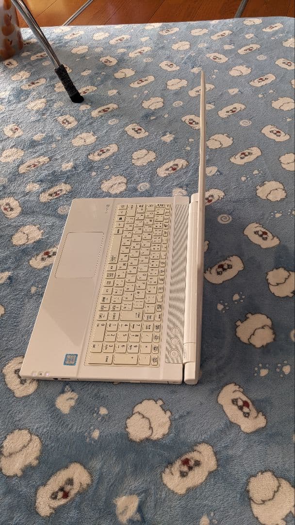Windowsノート本体 NEC LAVIE NS300/H 1TB