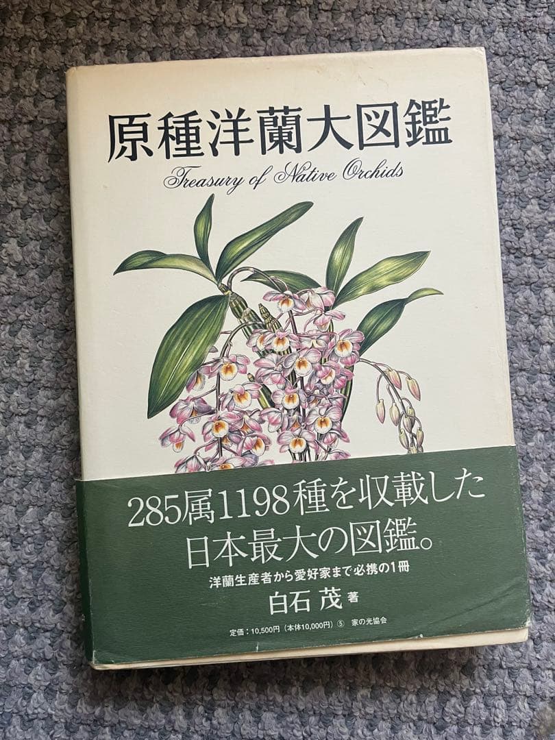 原種洋蘭大図鑑 Treasury of Native Orchids