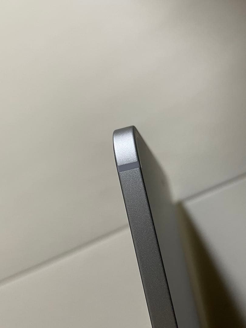 Apple iPad Pro 12.9インチ256GB 第5世代/PITAKA