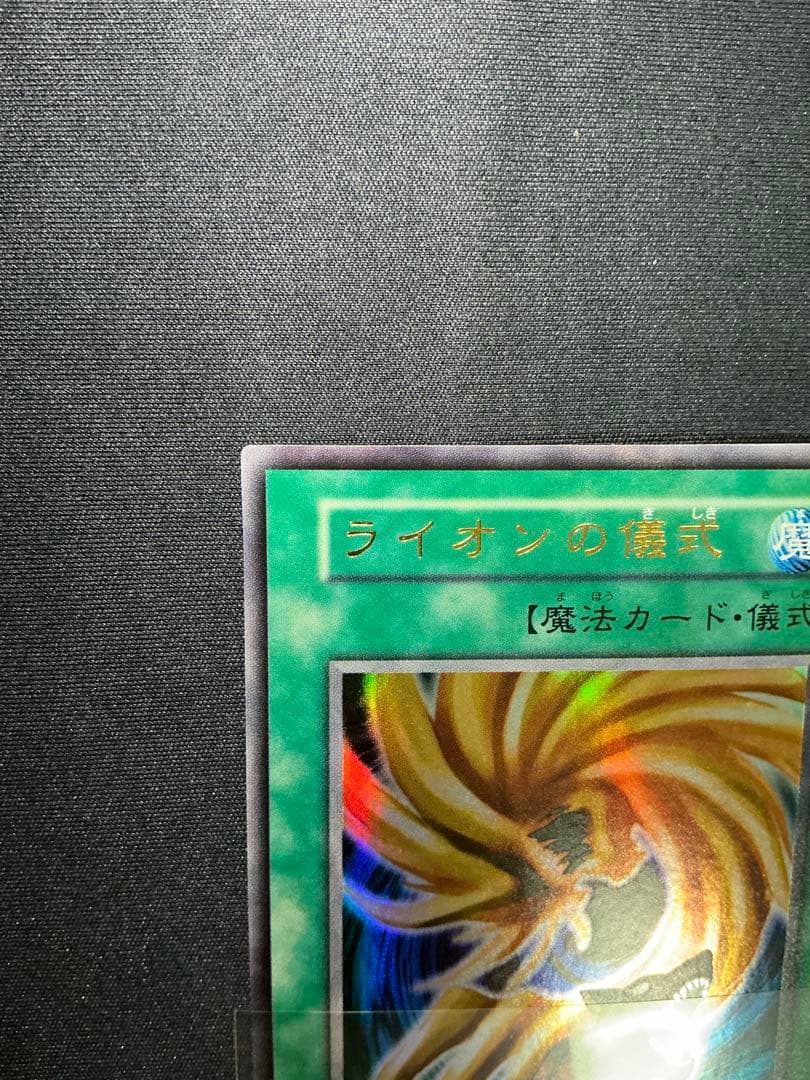 【確認用】　ライオンの儀式