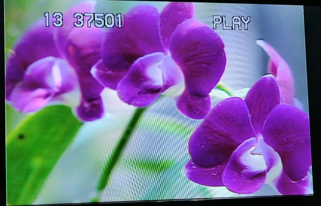 パイオニア　レーザーディスクプレーヤーCLD-200 　LDプレーヤー