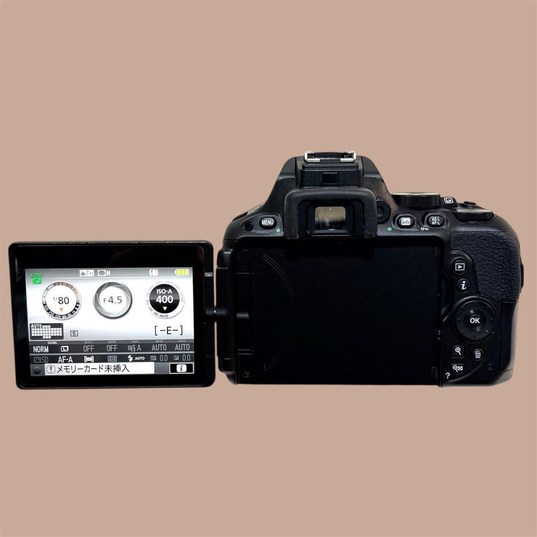 【初心者大歓迎】Nikon D5500 18-55 VR II Kit 一眼レフ