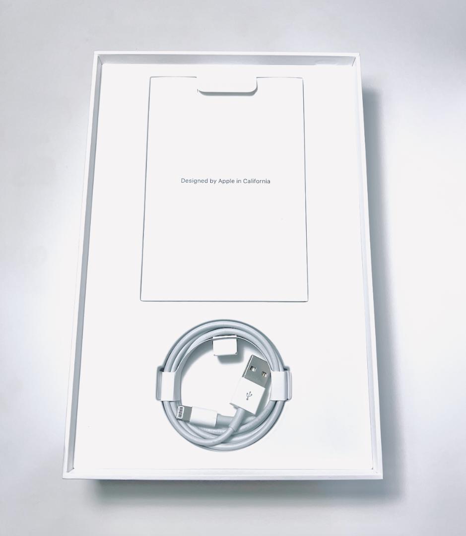 iPad mini 第5世代 Cellular 256GB シルバー 97%