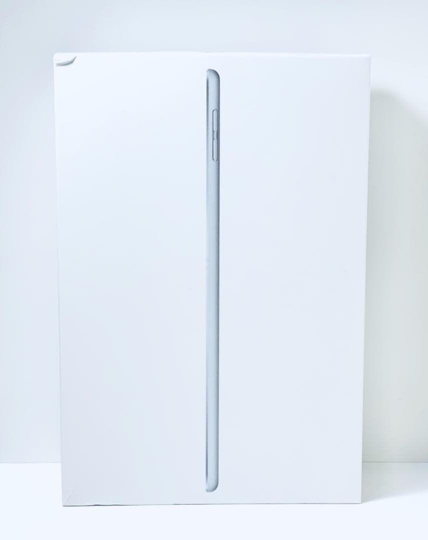 iPad mini 第5世代 Cellular 256GB シルバー 97%