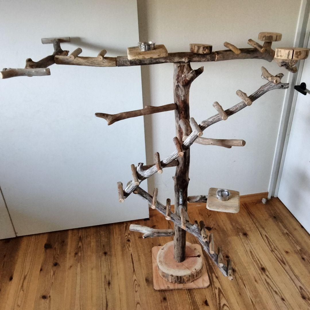 はな バードアスレチックジム ㊽ 天然木 自然木 止まり木 インコ オウム