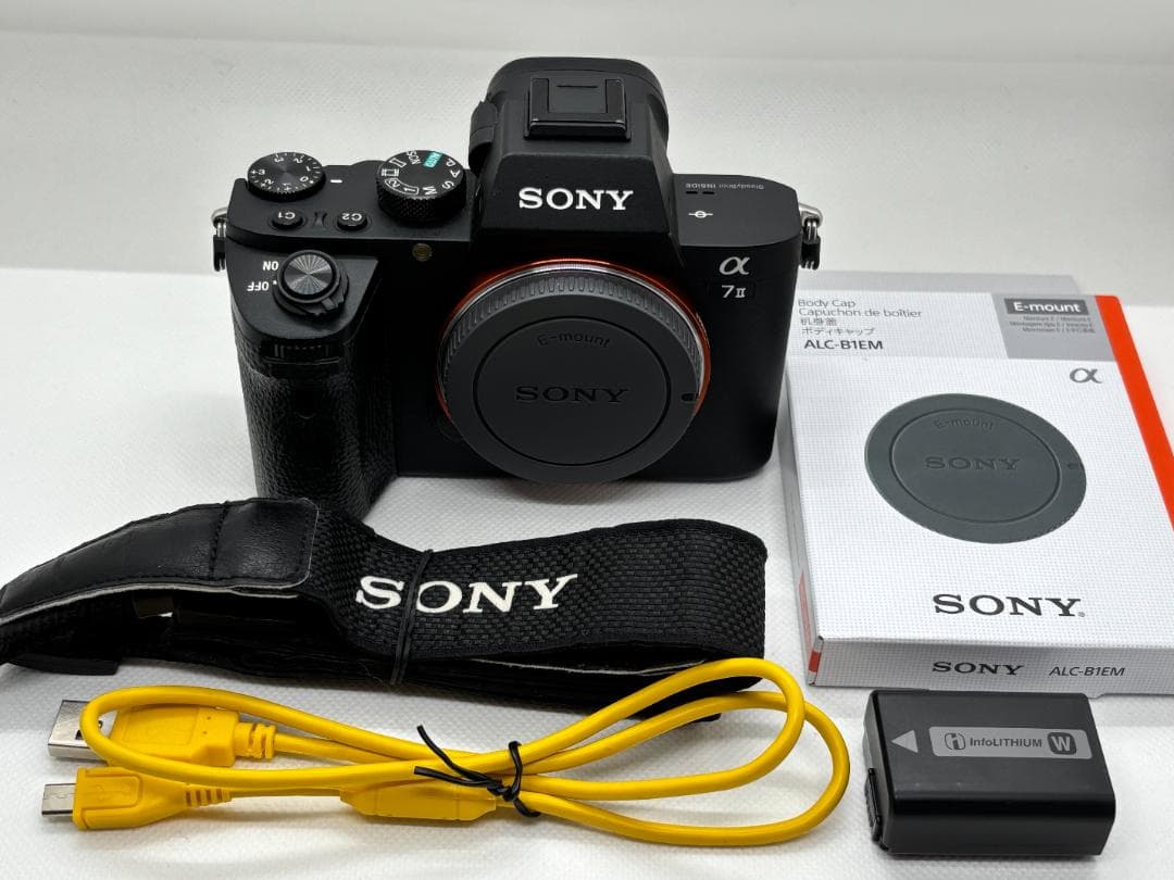 【美品！ショット数：8,373枚】ソニー SONY α7 Ⅱ