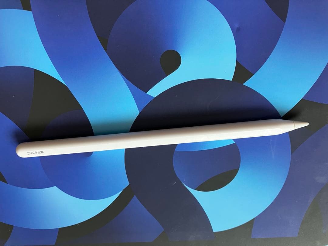 iPad Air 第5世代 256GB SIMフリー Applepencil付