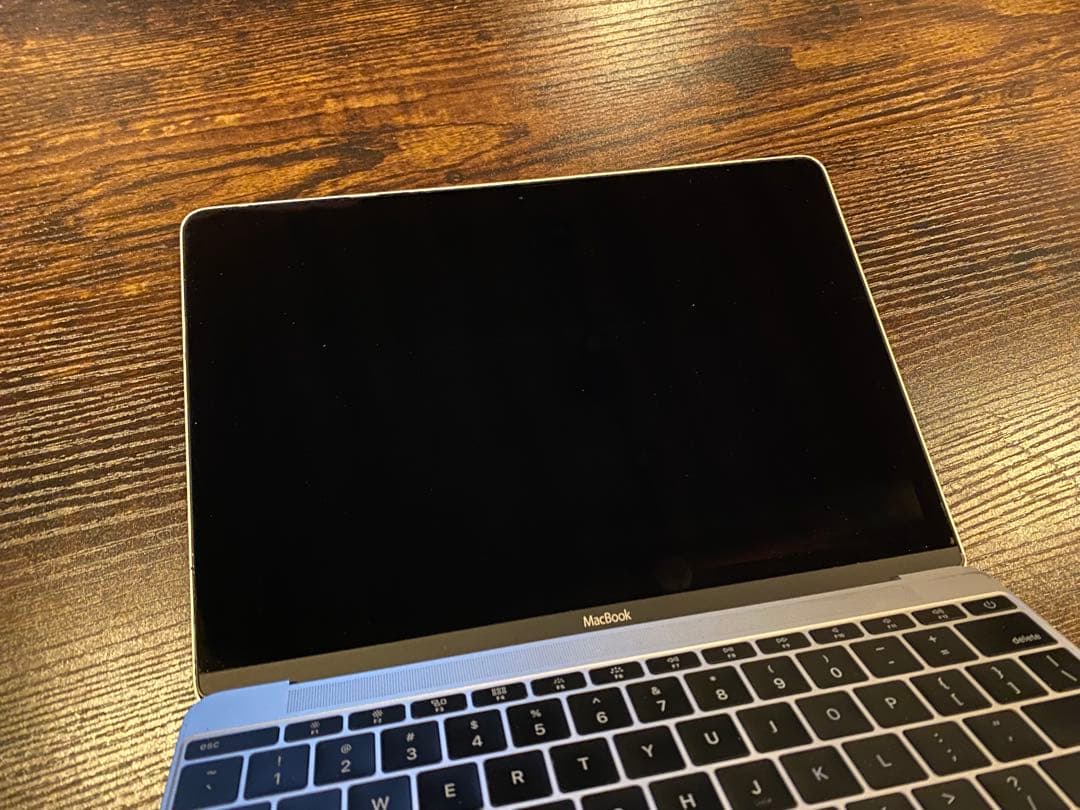 [ジャンク]Apple MacBook A1534 2016製 本体のみ