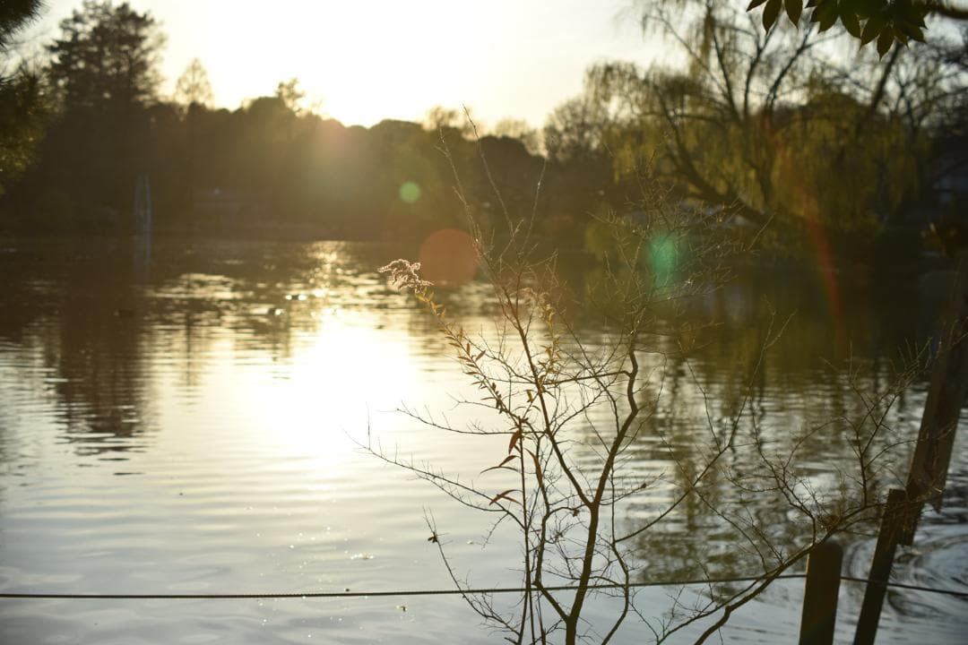 ニコン Ai Nikkor ED 50-300mm F4.5 三脚座付　中古