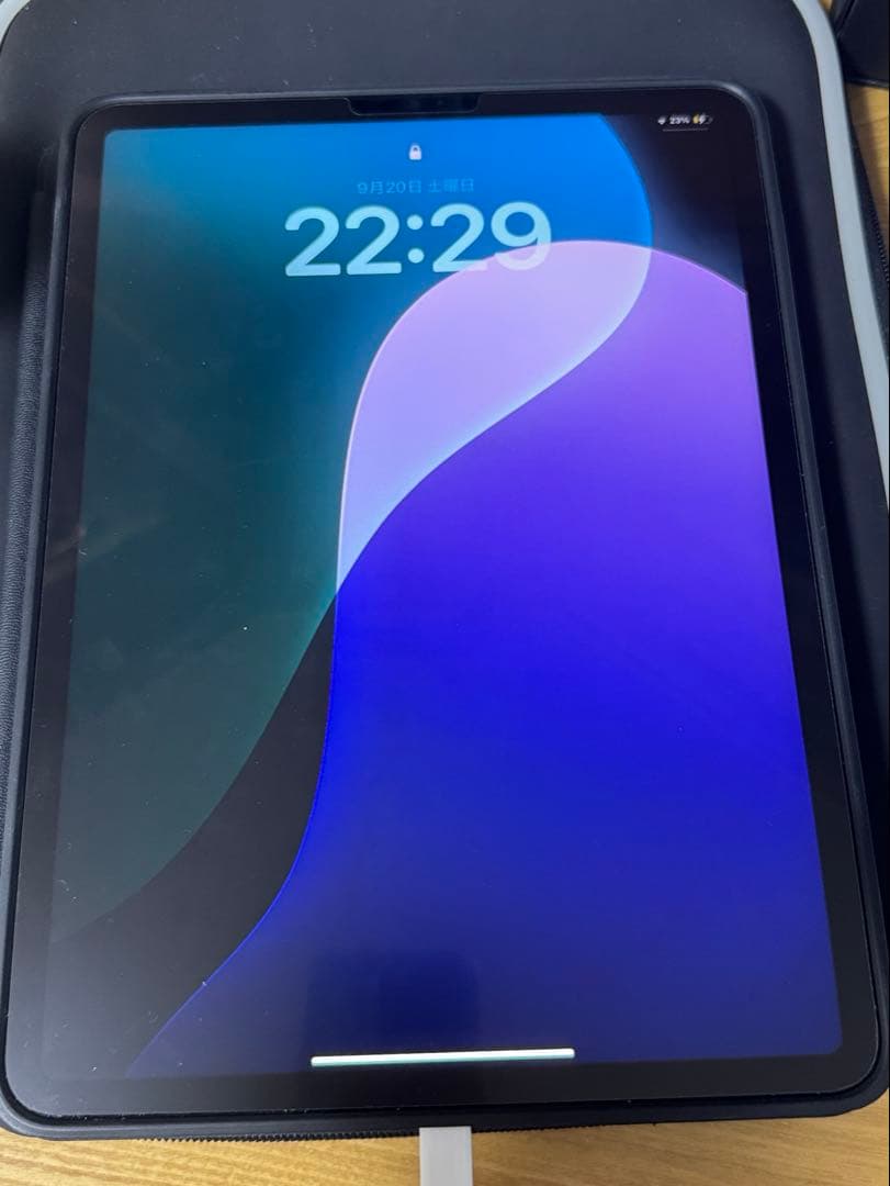 iPadPro 11インチ 第4世代 128GB WiFiモデル 本体のみ