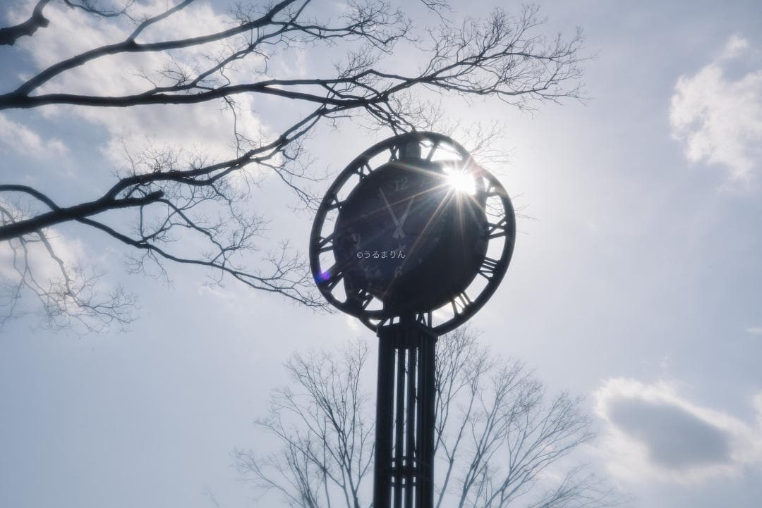 銘玉！Leica Summicron 50mm 1st Collapsible