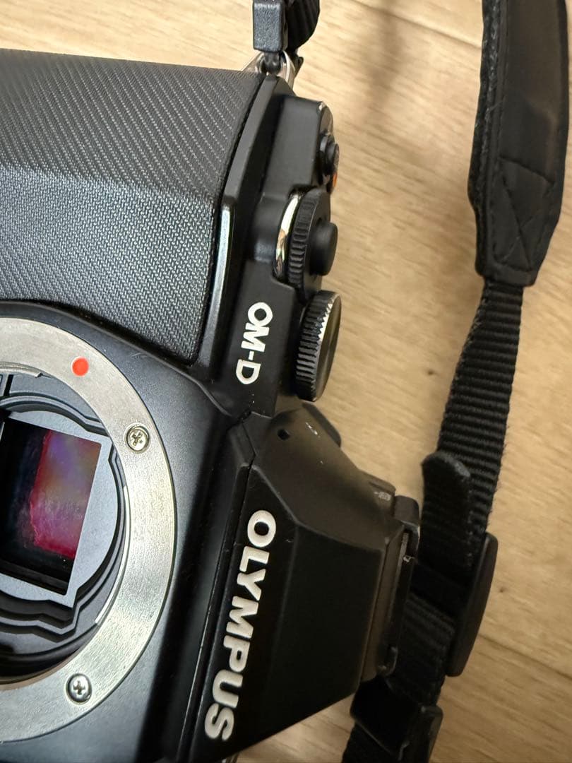 OLYMPUS OM-D E-M5 ミラーレス一眼レフカメラ