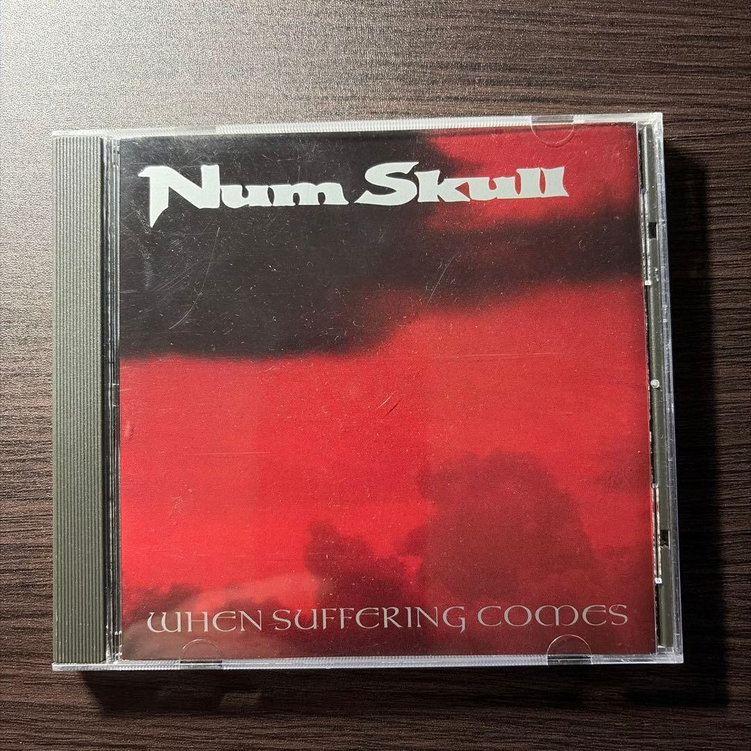 洋楽 Num skull/when suffering comes