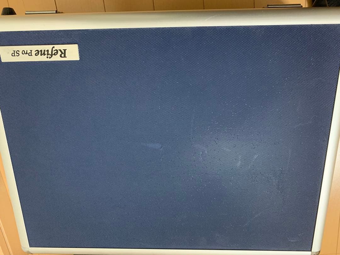 Refine Pro SP 美容機器