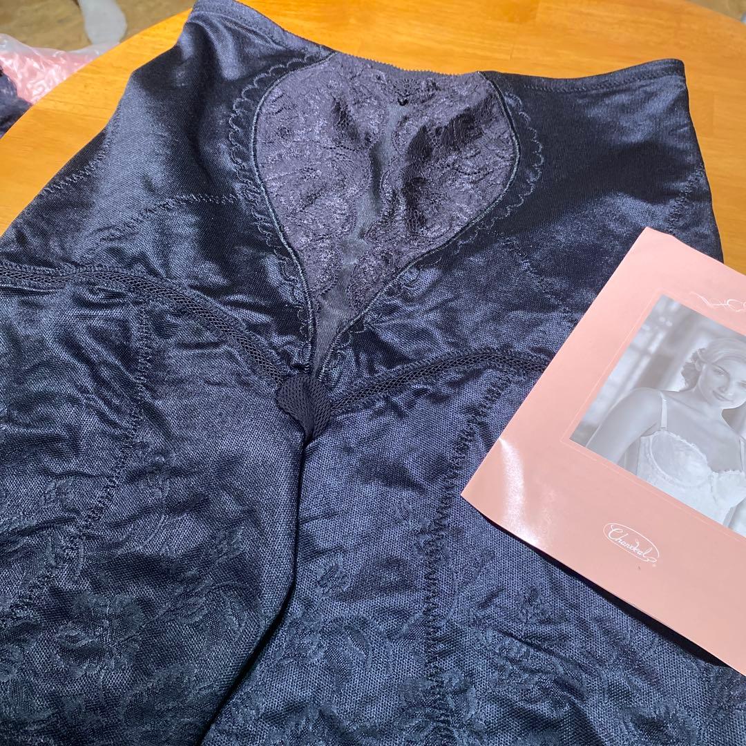 お値下げ新品未使用品シャンデール90ガードル