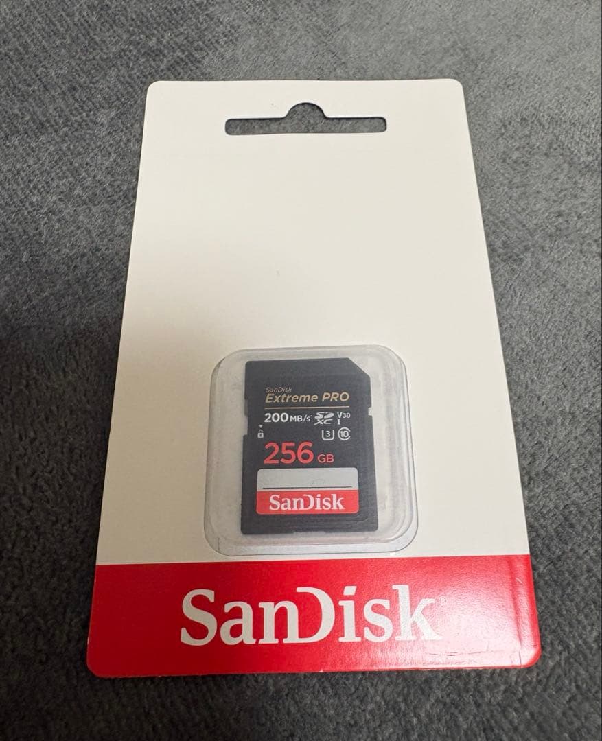 LUMIX DC-TZ99 レザーケース＆メモリカード付