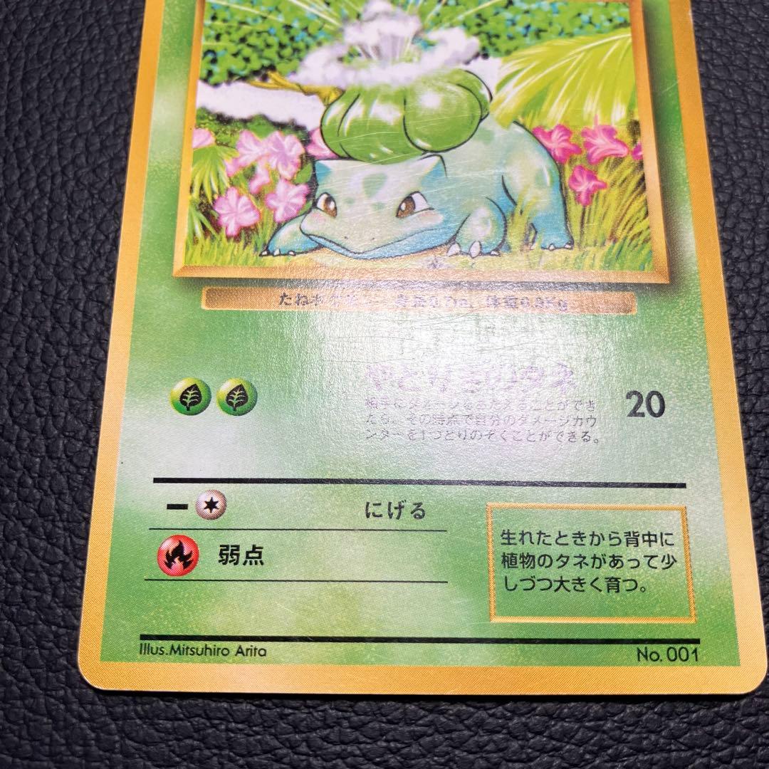 フシギダネ　旧裏　初版　マークなし　ポケモンカード